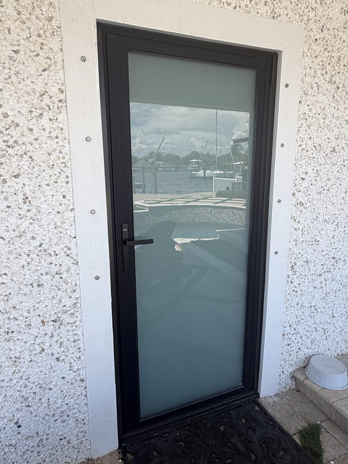 New black-framed glass entry door on a Florida home